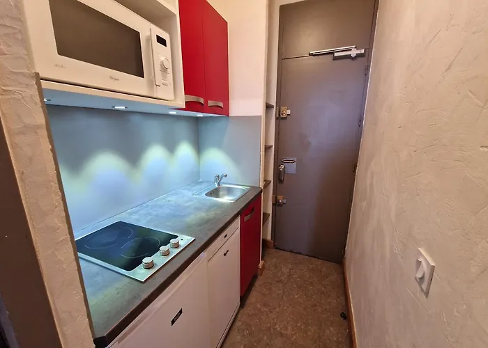 Chaleureux, Accès Direct Pistes, Animaux Admis - Fr-1-181-2585 * La Plagne