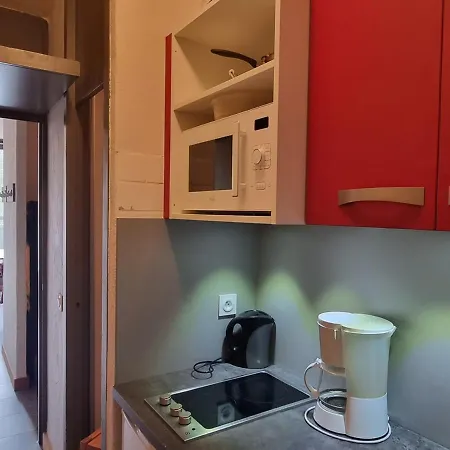 Chaleureux - Acces Pistes - Chiens Admis - Fr-1-181-2585 La Plagne